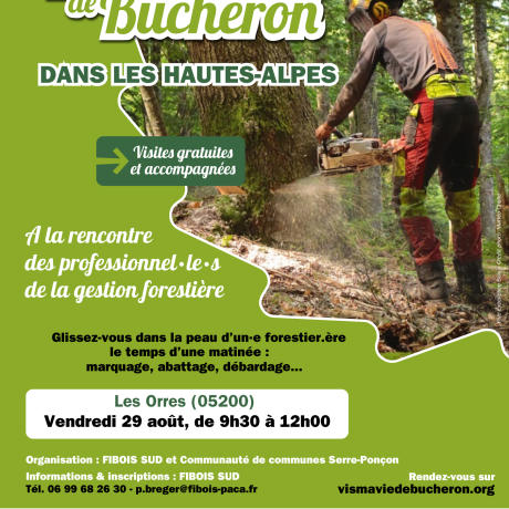 Vis ma Vie de Bûcheron Visite d'un chantier forestier